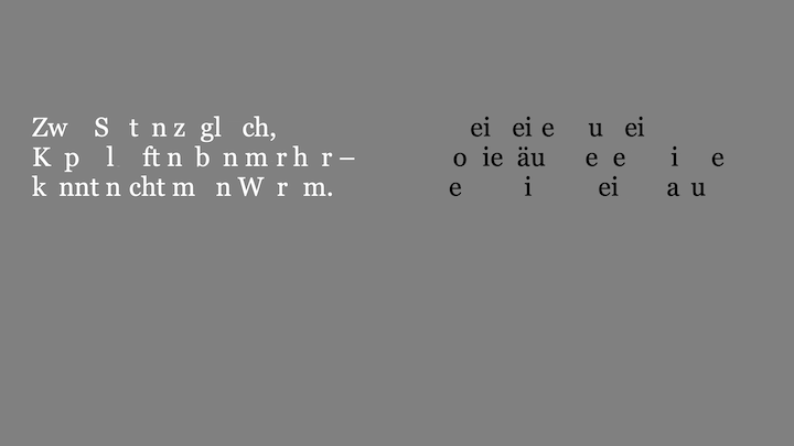 Grauer Hintergrund mit zwei Textblöcken: links weiße Buchstaben (Konsonanten), rechts schwarze Buchstaben (Vokale). Beide Teile ergeben zusammen ein Haiku: „Zwei Seiten zugleich, Kopie läuft neben mir her – kennt nicht mein Warum.“ Das Bild spielt mit der Trennung von Lauten und thematisiert ihr paralleles Nebeneinander.