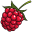 Avatar-Bild