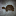 Avatar-Bild