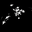 Avatar-Bild