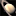 Avatar-Bild