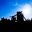 Avatar-Bild