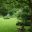 Avatar-Bild