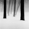 Avatar-Bild