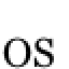 Avatar-Bild