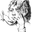 Avatar-Bild