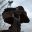 Avatar-Bild