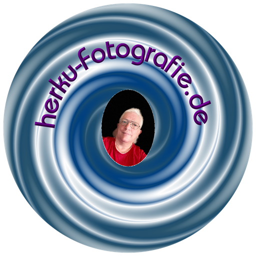 Avatar-Bild